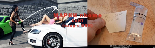 прущие грибы Осташков