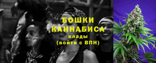 мдпв Волоколамск