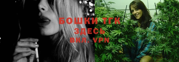 мдпв Волоколамск