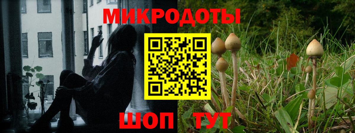 Псилоцибиновые грибы прущие грибы  Вход с VPN  Железногорск  Псилоцибиновые грибы Psilocybine cubensis 
